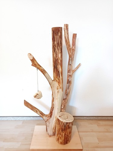 Katzenbaum kratzbaum baumstamm - kratzbaum,