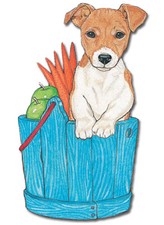 Jack Russell Terrier Magnet