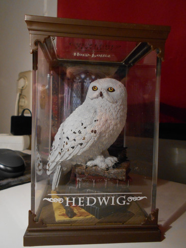 Harry potter magical creatures - magical,