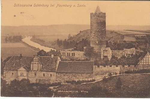 Schloßruine schöneburg - schloßruine,