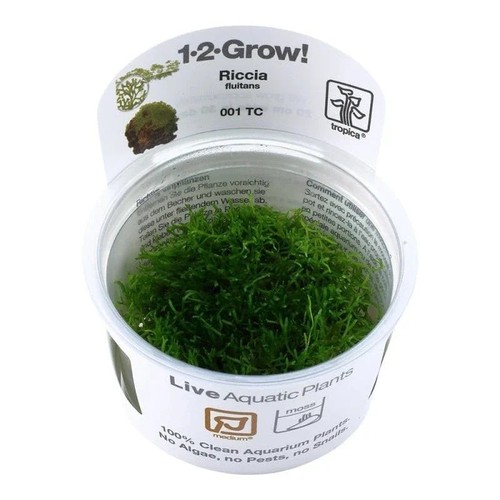 Tropica riccia fluitans - tropica,
