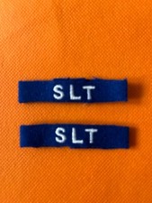 BUNDESWEHR LITZEN (SLT-SCHWERLASTTRANSPORT) -