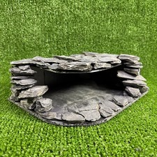 ​Naturschiefer Reptil /