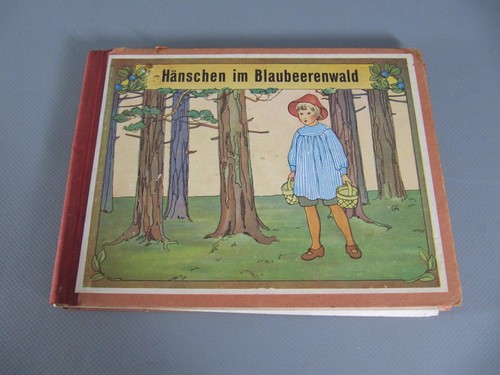 Hänschen blaubeerwald - hänschen, im