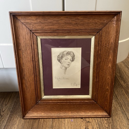 Olive snell head skizze - snell, von