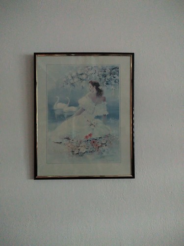 Bild von rochelle - bild,