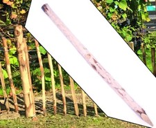 Zaunpfahl aus Kastanienholz