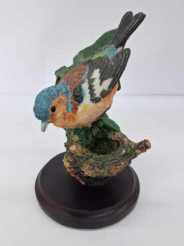 Vogelwelt collection buchfink - collection,