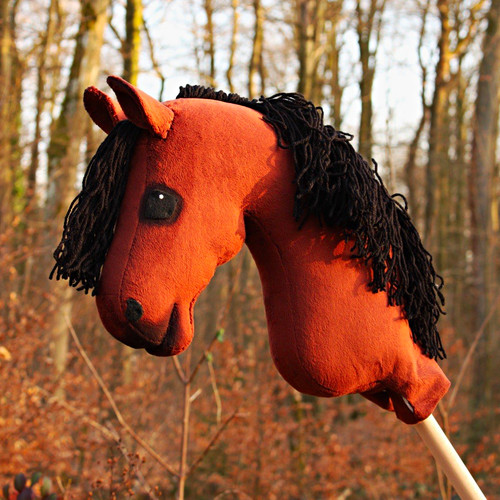 Hobby horse hobbyhorse - hobby, horse/