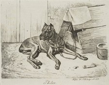 J. KLEIN (1792-1875), Philax