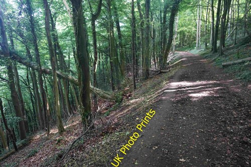 Foto der cotswold - der, in