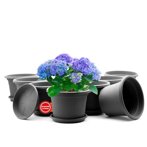 Stück blumentopf mit - stück,