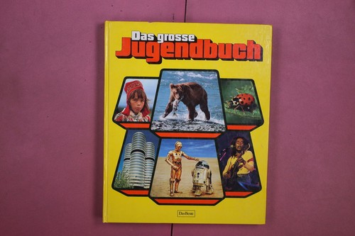 358227 das grosse jugendbuch - 358227,