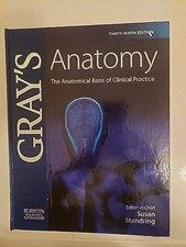 Gray's Anatomy: The Anatomical Basis of Clinical Buch Churchill Livingstone
