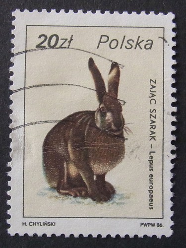 Polen 1986 hase feldhase - polen, hase,