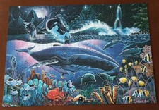 Ravensburger Puzzle Star Line 1000 Odyssey  1000 Teile No. 160617 nur 1 x gelegt