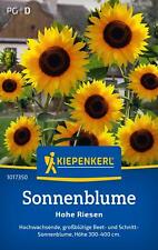 Kiepenkerl Sonnenblumensamen