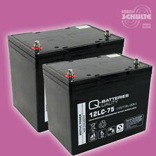 Akkus für Elektromobil Meyra Cityliner 415, 2 x 12V 77Ah statt 75Ah Blei AGM