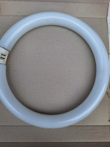 Osram rundröhre l32w - osram, l32w/10c