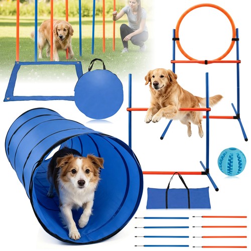 Agility set für hunde - agility,