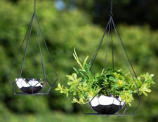 Pflanzschale hängend