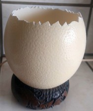 1 x Schlupfschale Straußenei