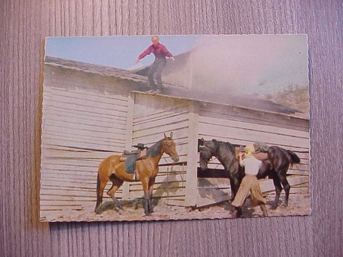 Winnetou unter geiern karl - winnetou,