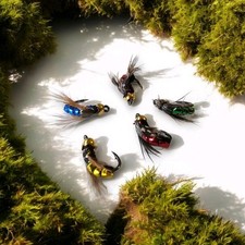 Angel Köder 5er Set Nymphen Fliegen Forellen Fischen Insekten Käfer Feder Bionic