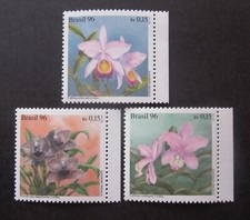 Blumen Orchideen Brasilien