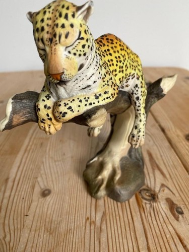 Afrikanischer leopard boehm - afrikanischer,