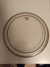 Remo Weathking Pinstripe Fell