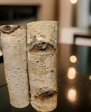  4 Birkenstämme Birkenäste