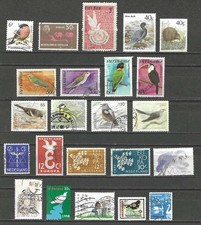 Motivsammlung; Vögel / Aus