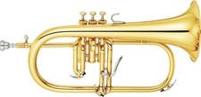 Yamaha YFH8310ZG Custom