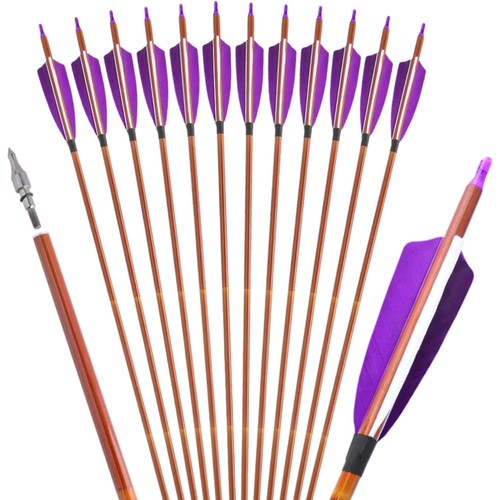 Carbon pfeile zoll 12 - pfeile,