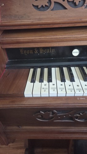 Wunderschönes altes harmonium - altes,
