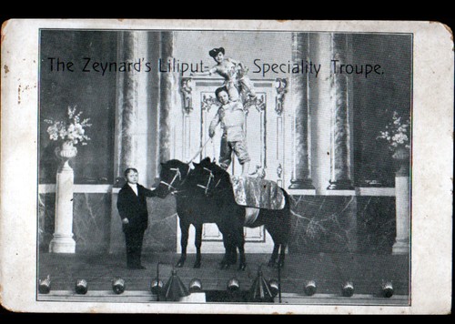 Zwergkünstler zeynard s - zwergkÜnstler, zeynard's