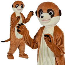 Erwachsene Meerkatze