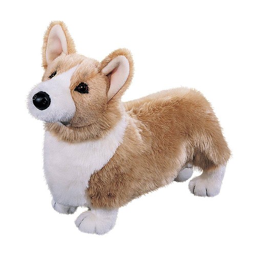 Corgi chadwick hund - chadwick,