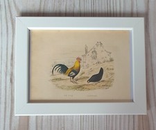 1852 Lithographie Kunstdruck