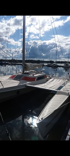 Trimaran dragonfly fixed - trimaran,