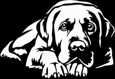 LABRADOR Aufkleber - Labrador