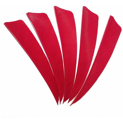 50pcs bogenschießen - 50pcs, 2"