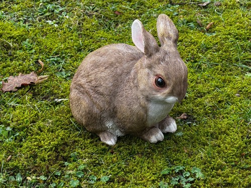 Hase osterhase garten deko - hase, garten-deko