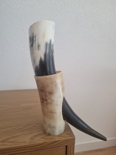 Trinkhorn l poliert - trinkhorn,