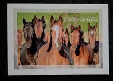 Pferdepostkarte, AK Pferde