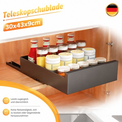 Schrankauszug