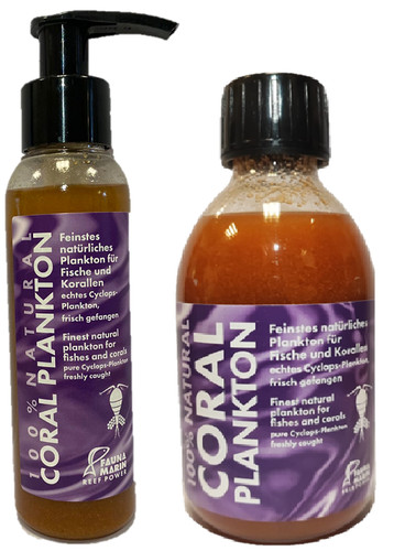 Fauna marin coral plankton - coral,