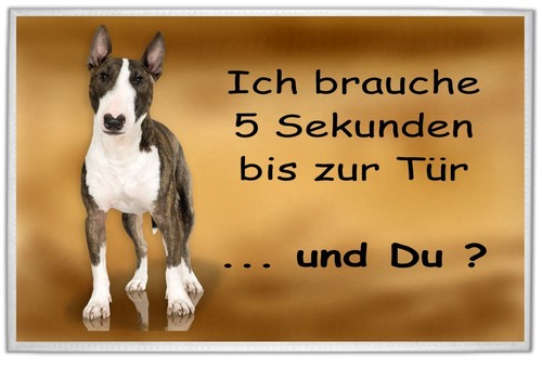 Bullterrier fußmatte - /,