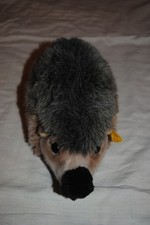 Steiff Hedgehog"Igel" "Joggi"